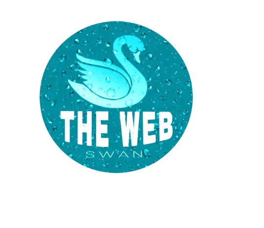 WebSwan Digital Solutions Logo Certified Web Designer Oakland CA