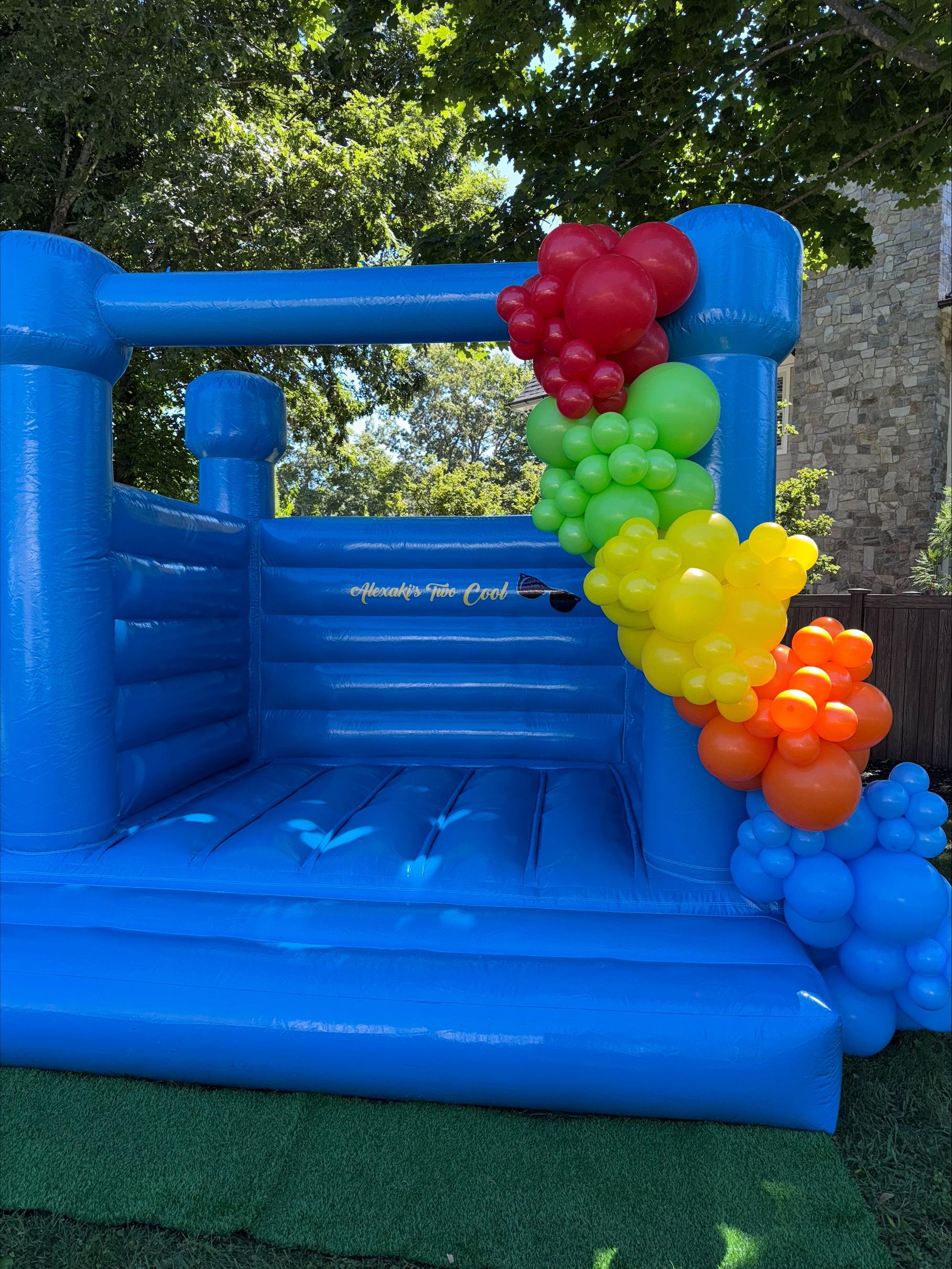 Clean bounce house with styled backdrop