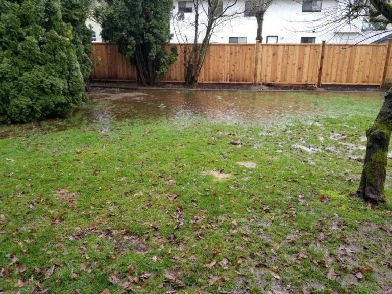 Drainage Issues and Drainage Review