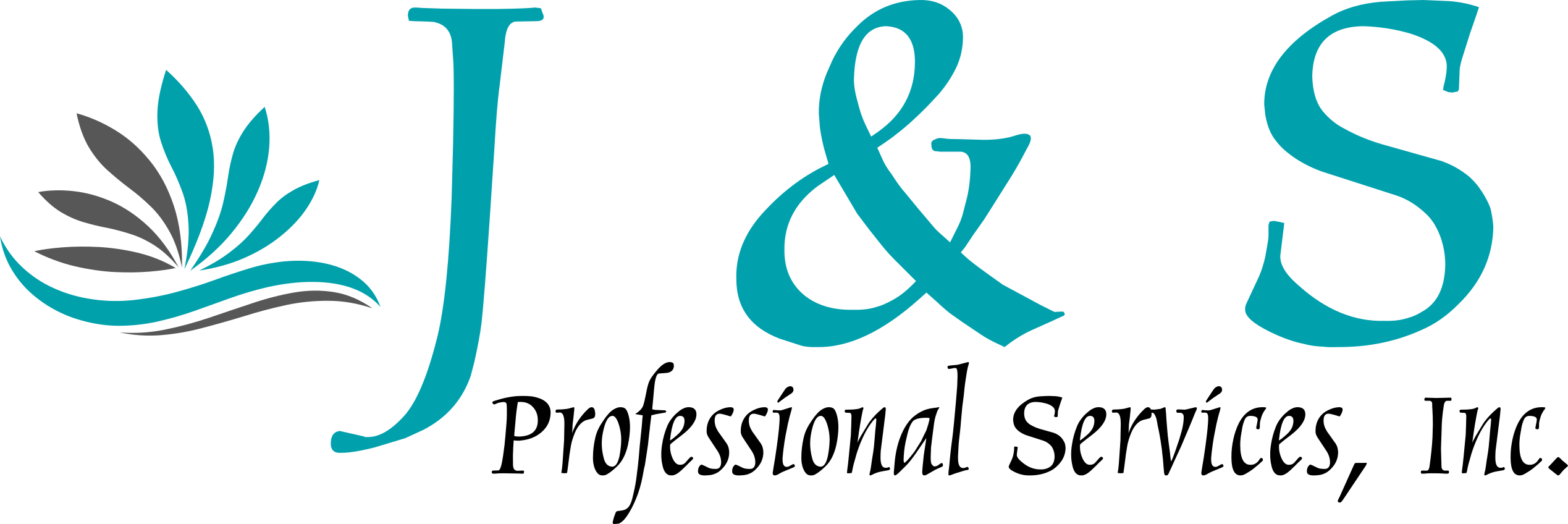Letter s and j logo design minimal monogram Vector Image