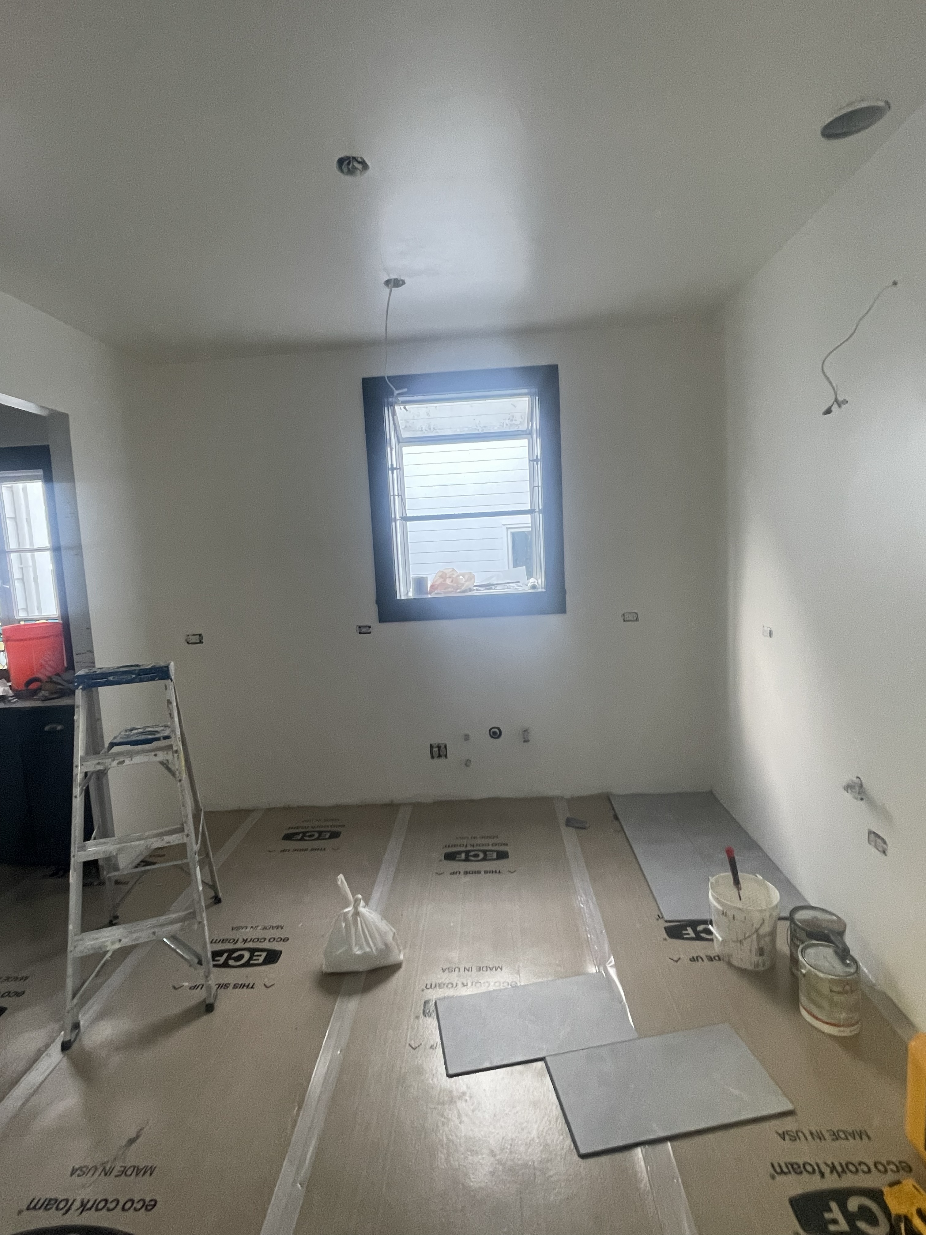 Interior and exterior painting