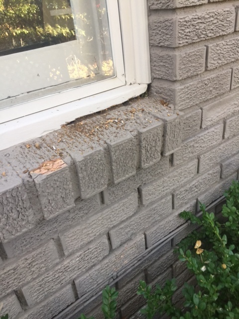 Wood Rot Repair Specialists | Before & After Photo Gallery ...
