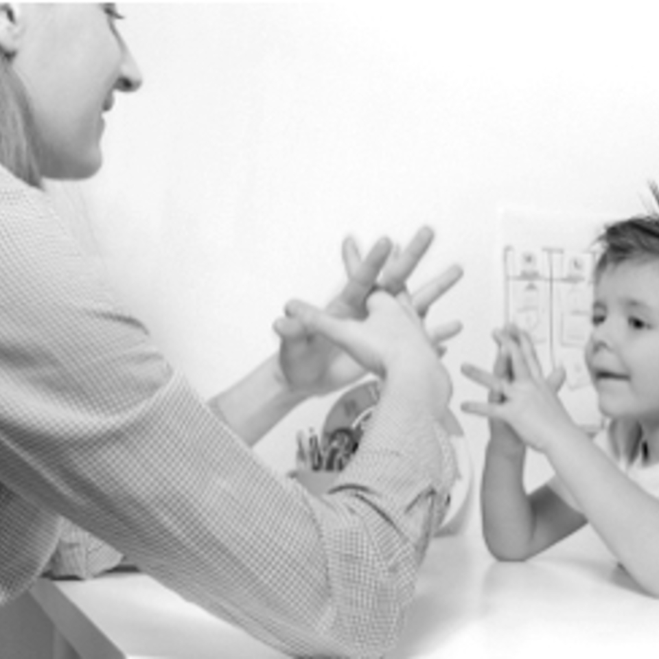 Autism specialists bw20170331 31314 13k4hmw 960x960