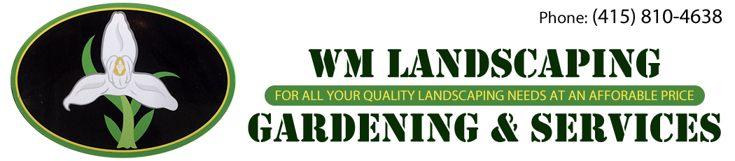 WM Landscaping Gardening & Services