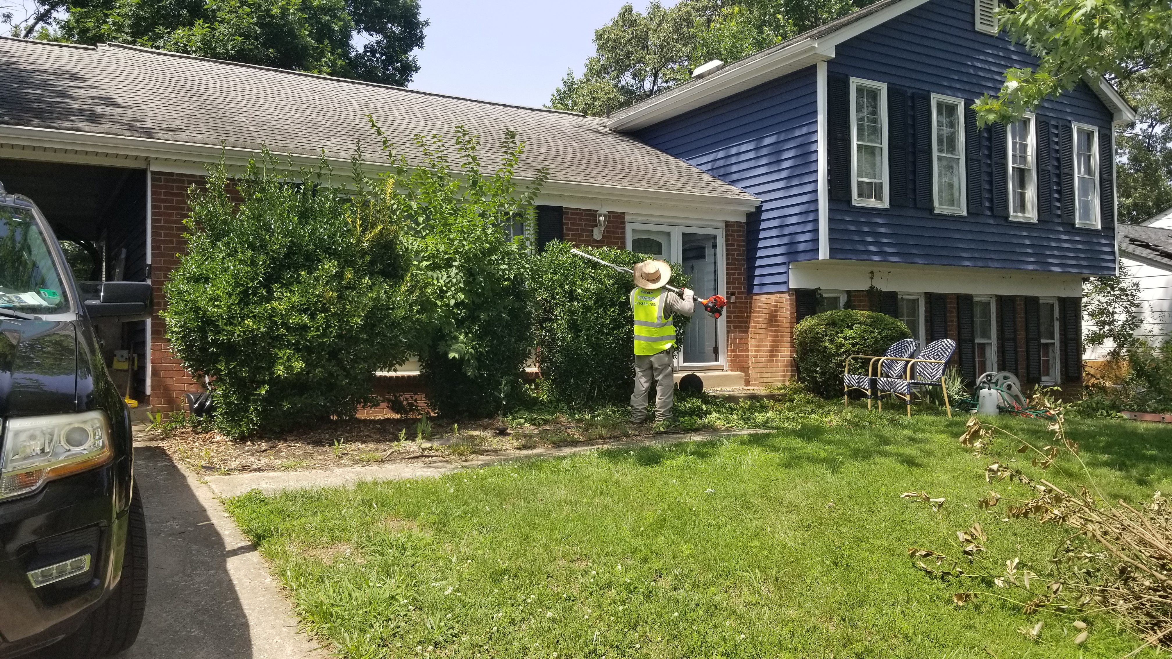 Yard rehabilitation and tree removal in Saratoga, Fairfax County VA by Family Tree Services & Landscaping