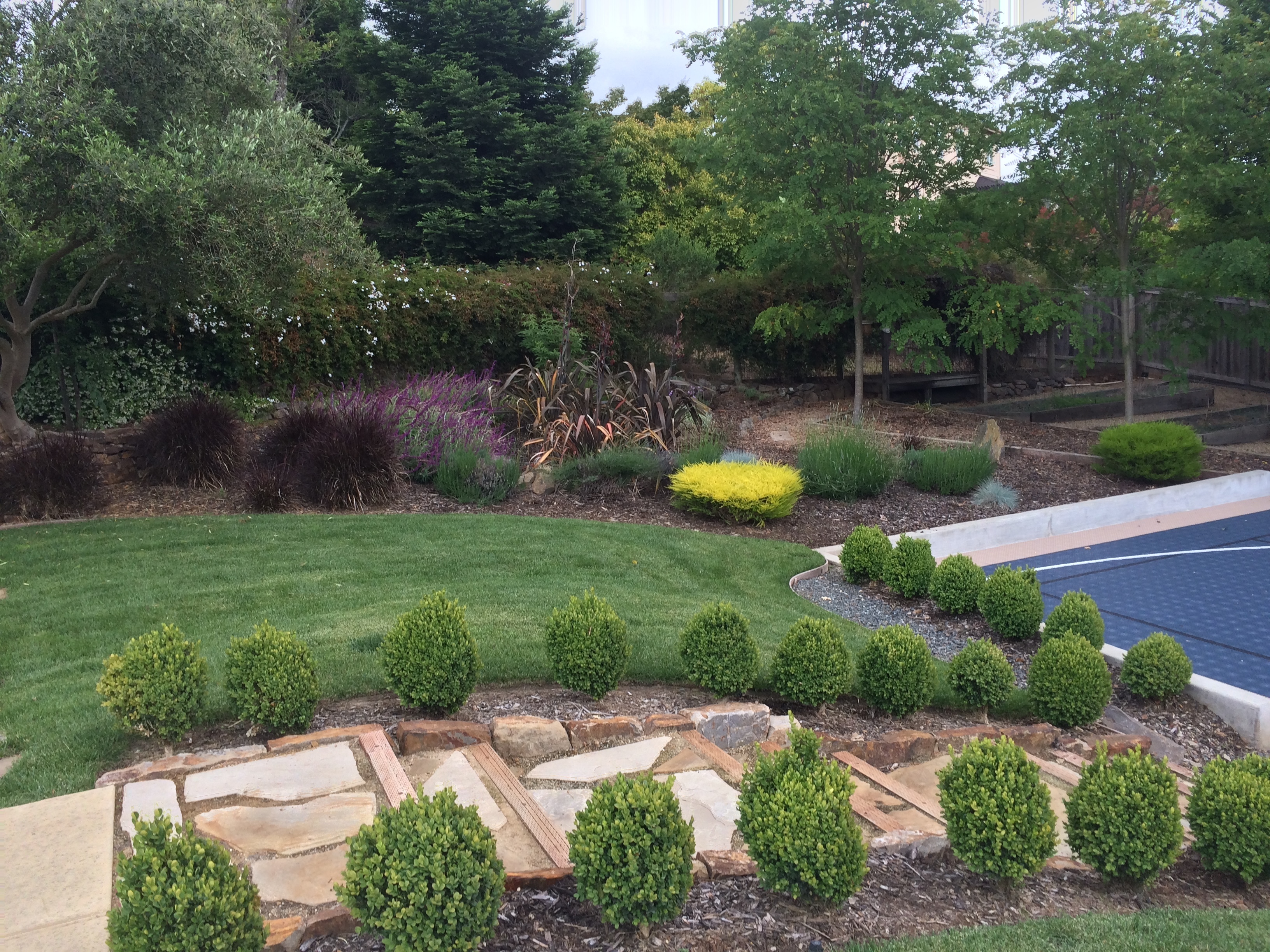 B E Bird Landscape – Outdoor Work