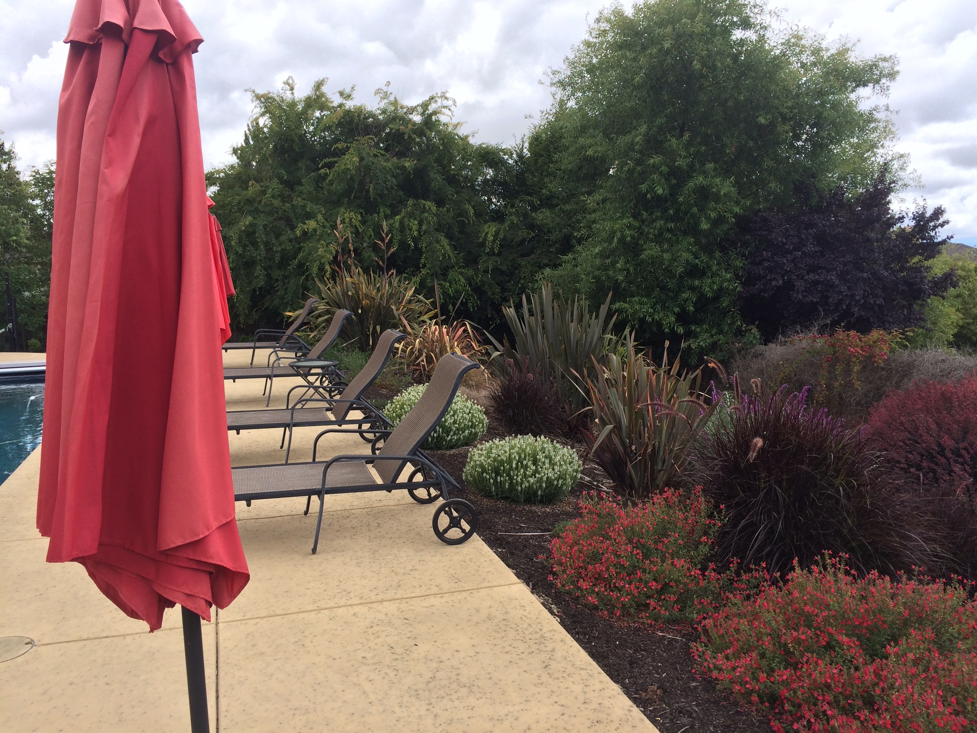 B E Bird Landscape – Landscaping Project