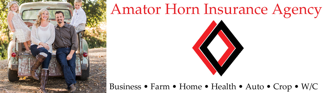 Amator Horn Insurance Agency