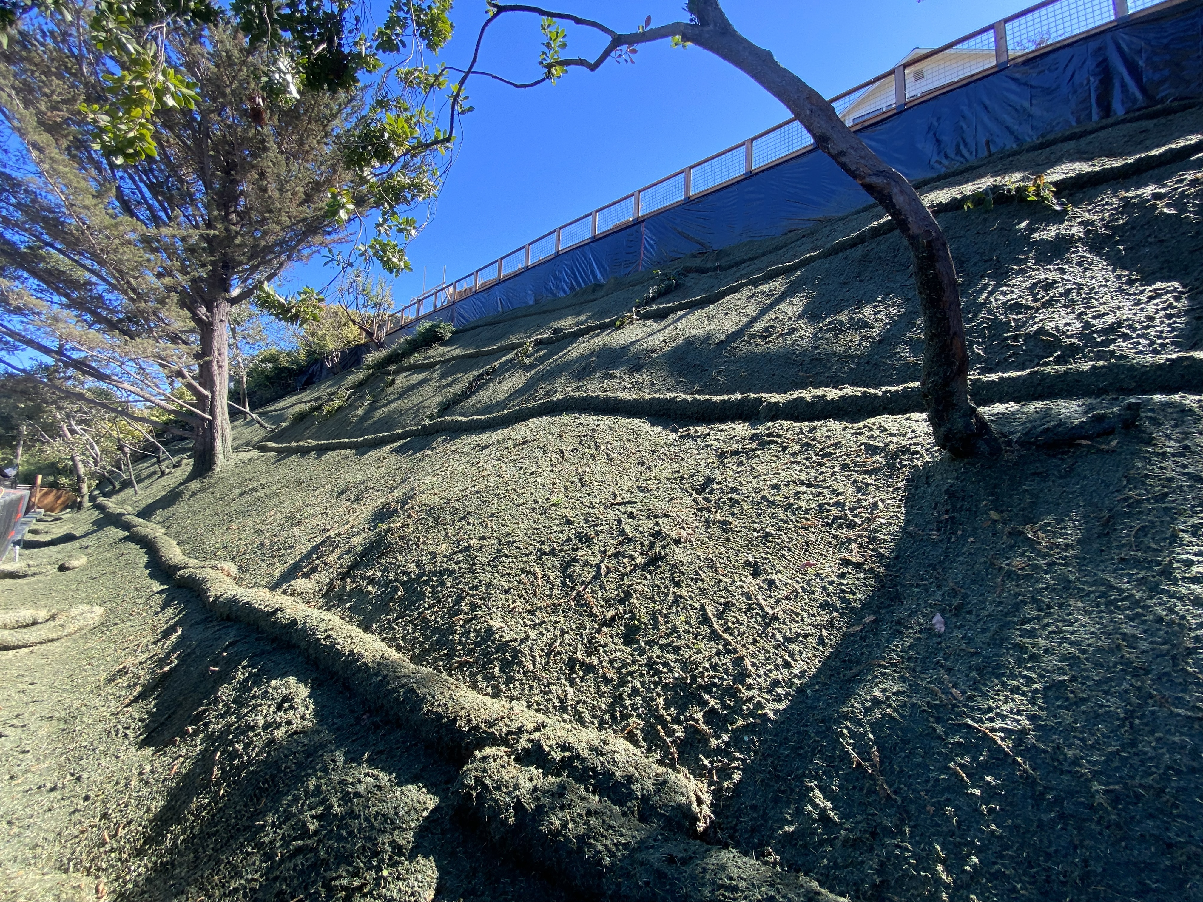 Soils Stabilization & Hydro-Seeding