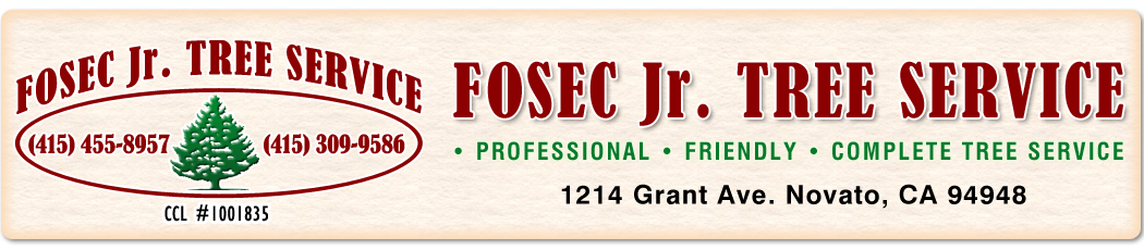 Fosec Jr Tree Service