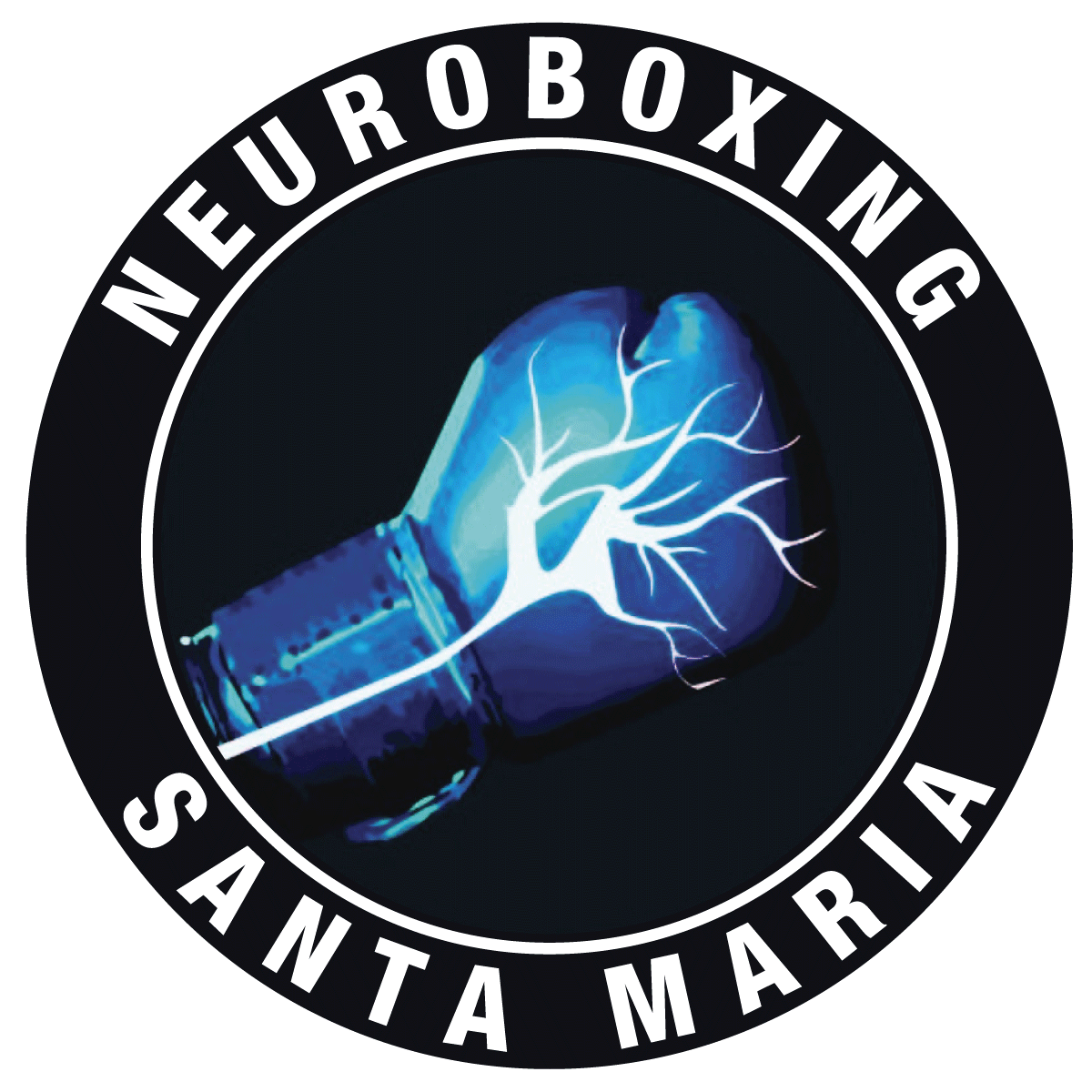 NeuroBoxing Santa Maria