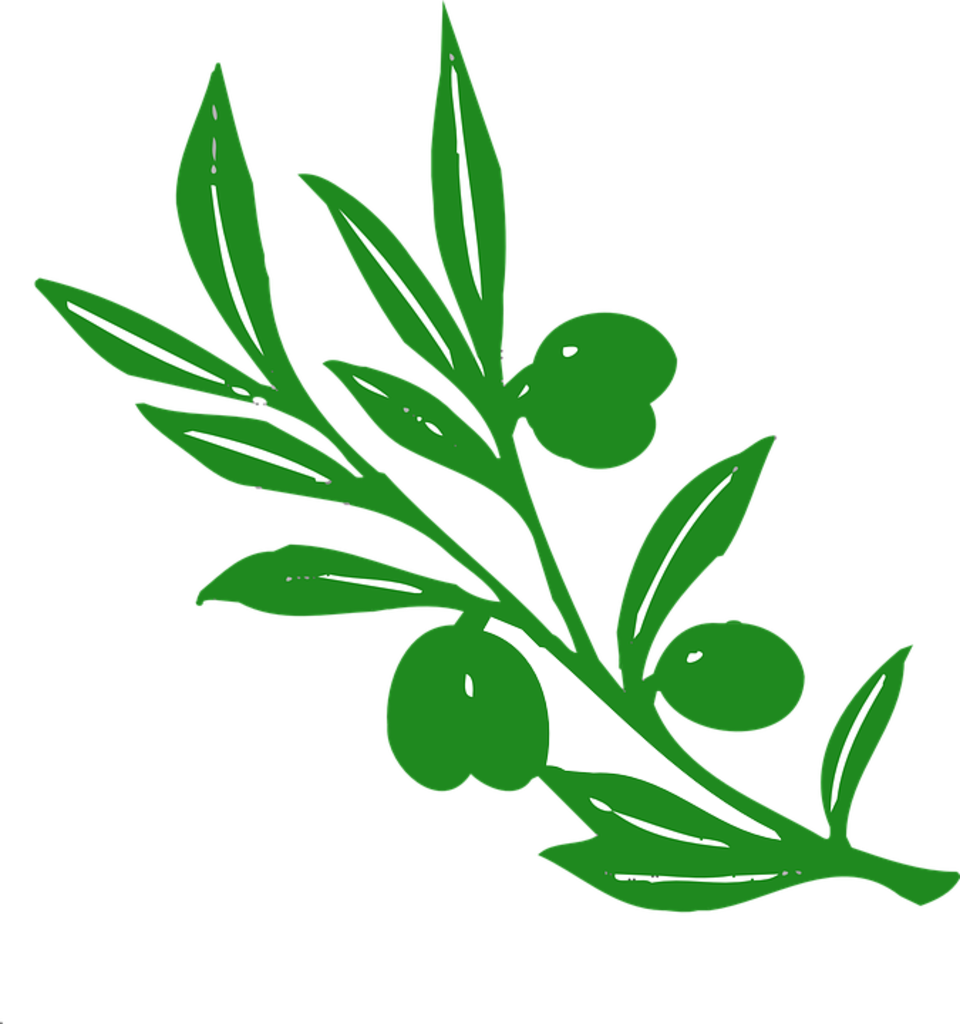 Olive 145837 960 72020180620 29883 1hzn64y