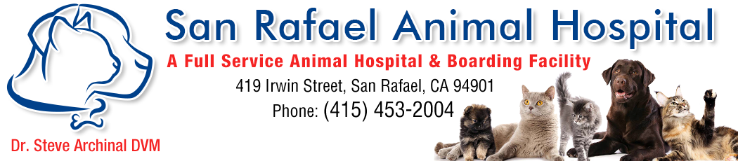 San Rafael Animal Hospital