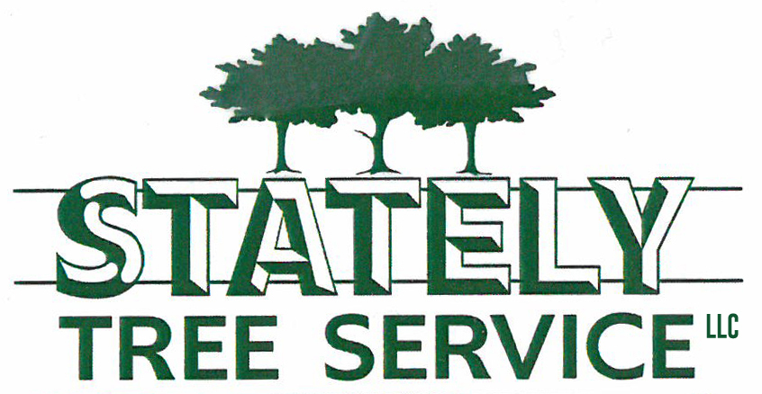 Stately Tree Service