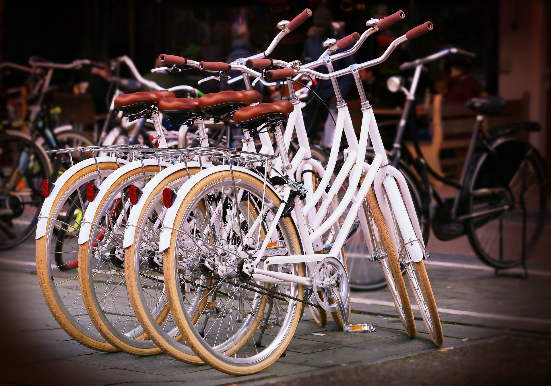 wheelies bicycle shop