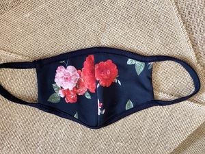 Img 0610 960x