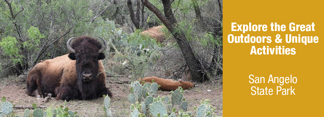 Grape Creek Phoenix RV Park