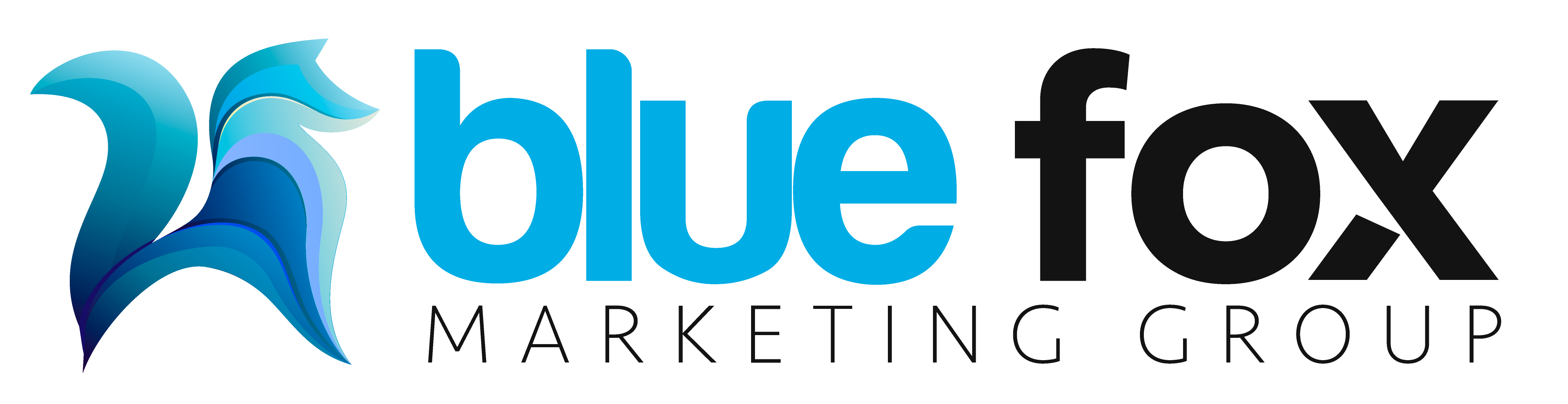Blue Fox Marketing Group