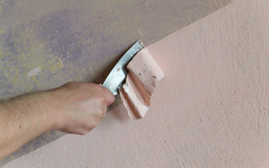 Paint Removal and Surface Preparation