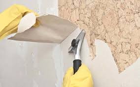 Wallpaper Removal Services