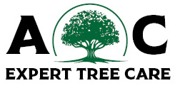 AC Expert Tree Care