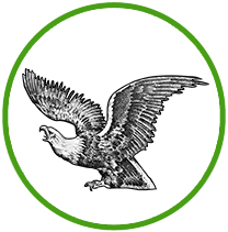 777 Plumbing Inc. logo