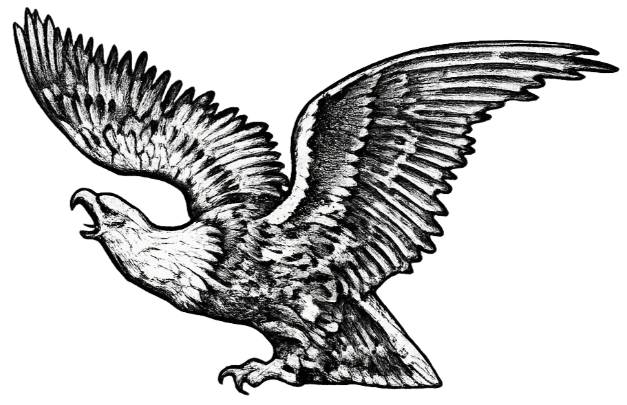 777 Plumbing Inc. Eagle Logo