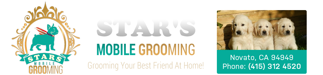 Stars Mobile Grooming