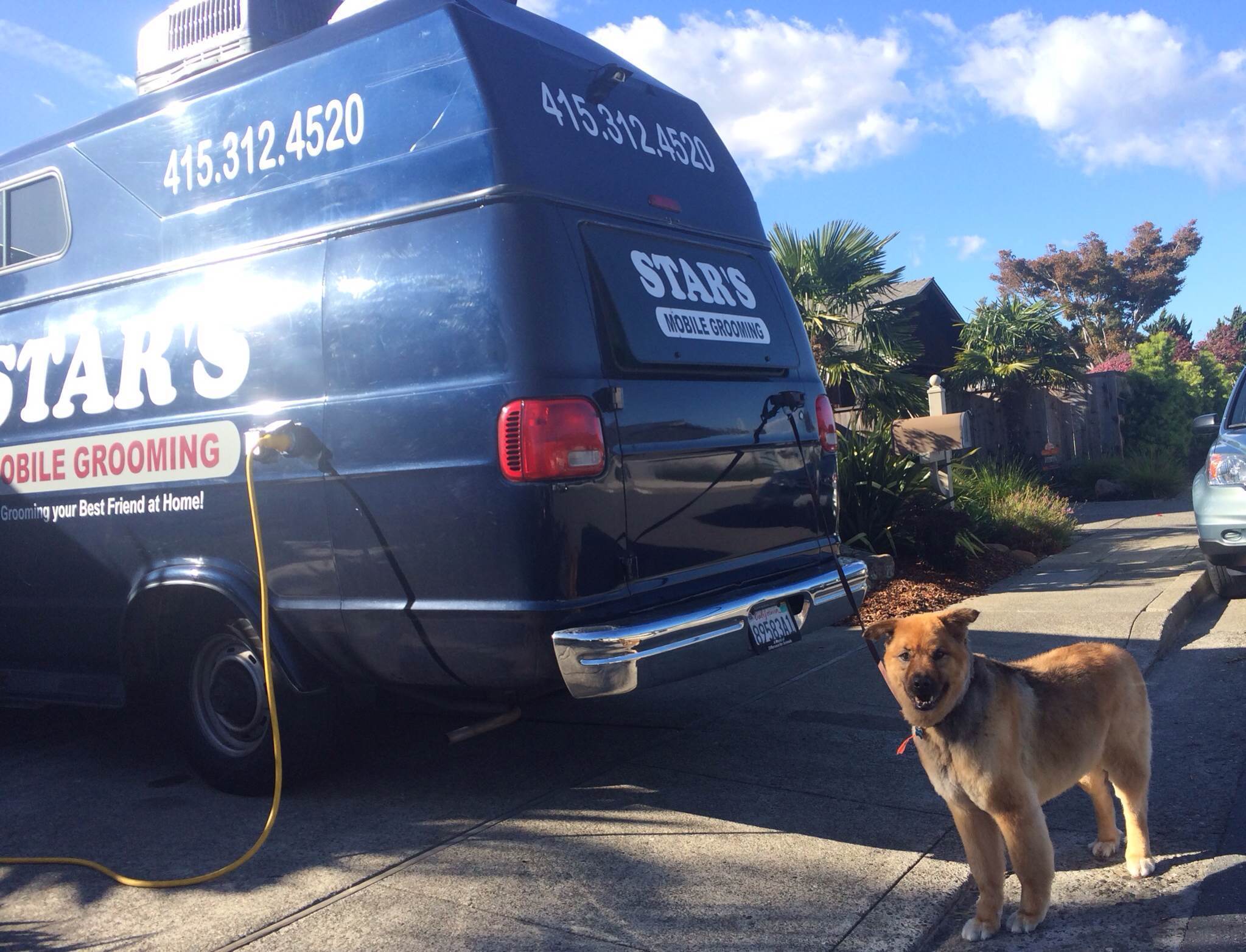 5 star mobile pet grooming