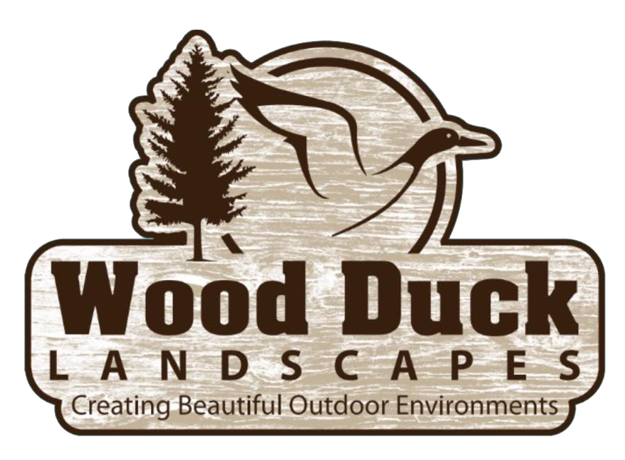 Wood Duck Landscapes