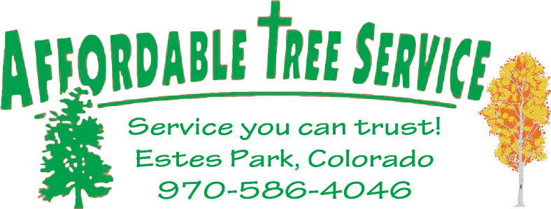 We Offer Affordable Tree Stump Removal Services Through - Houston Tree  Service - 800x800 PNG Download - PNGkit