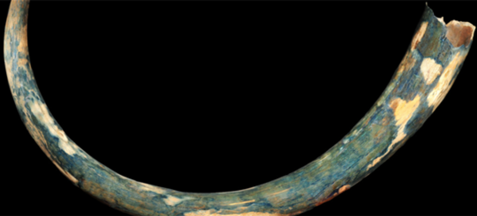 Fossil120150512 2117 1jx4ivb 960x435