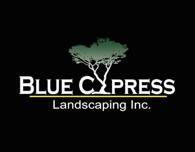 Blue Cypress Landscaping outdoor landscape project