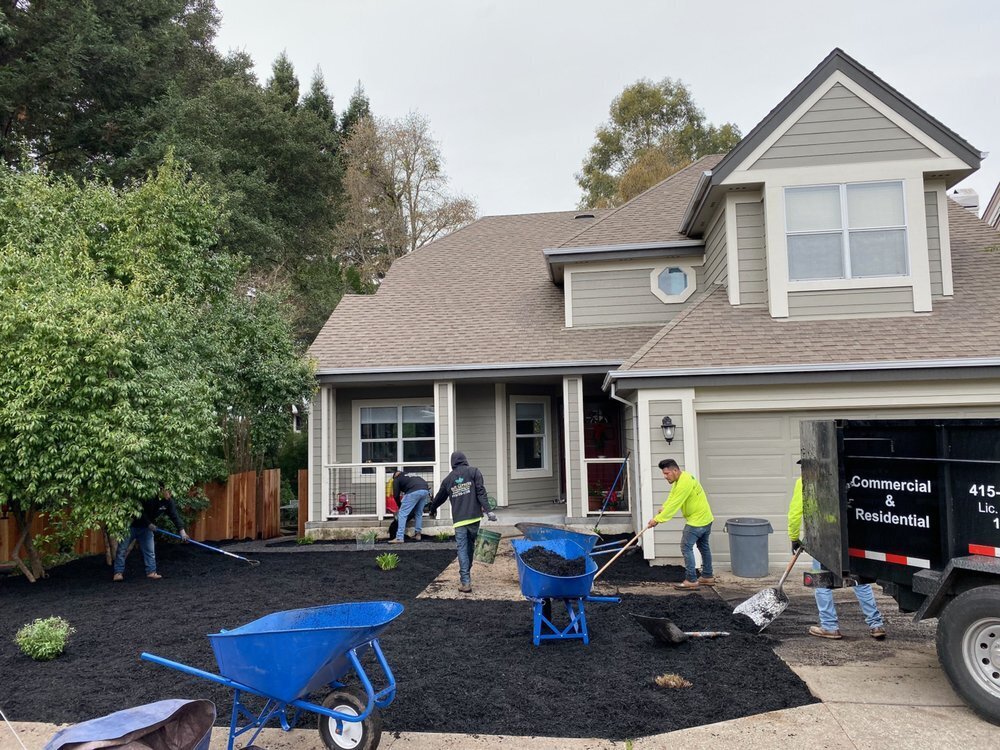 Why Choose Blue Cypress Landscaping