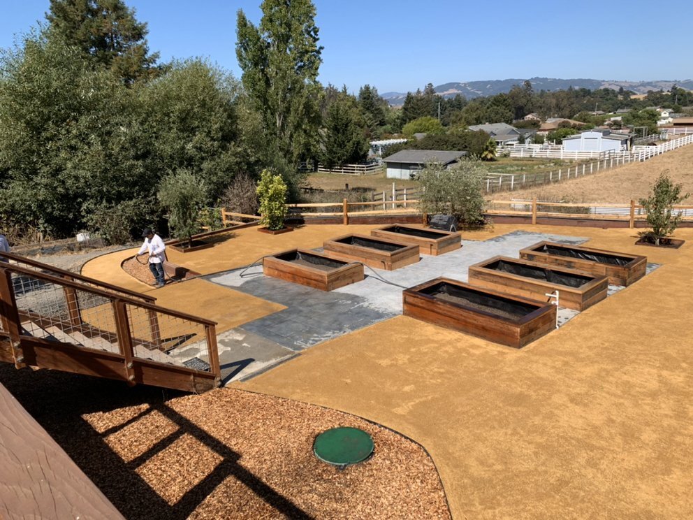 Garden Beds