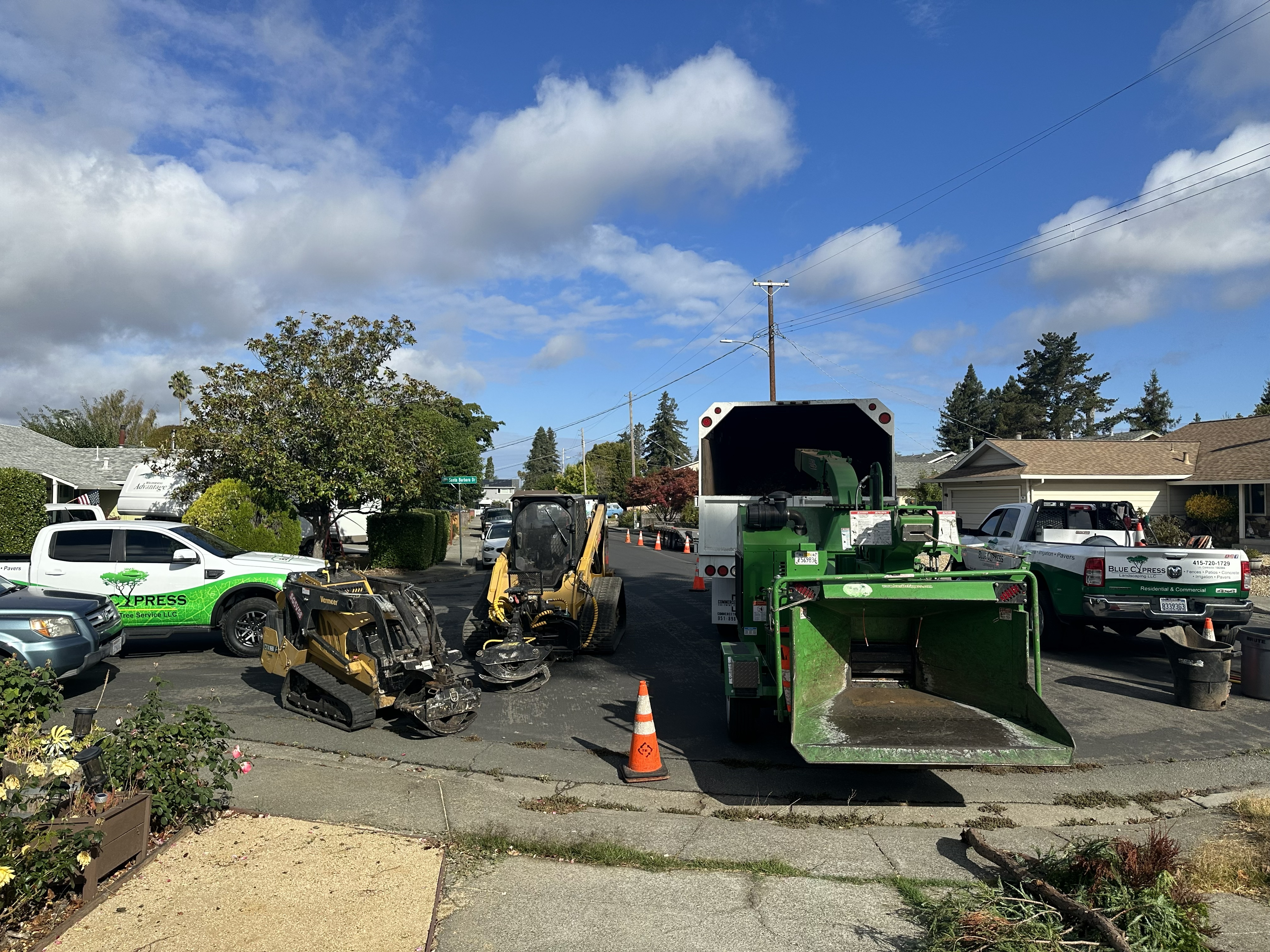 Tree Work