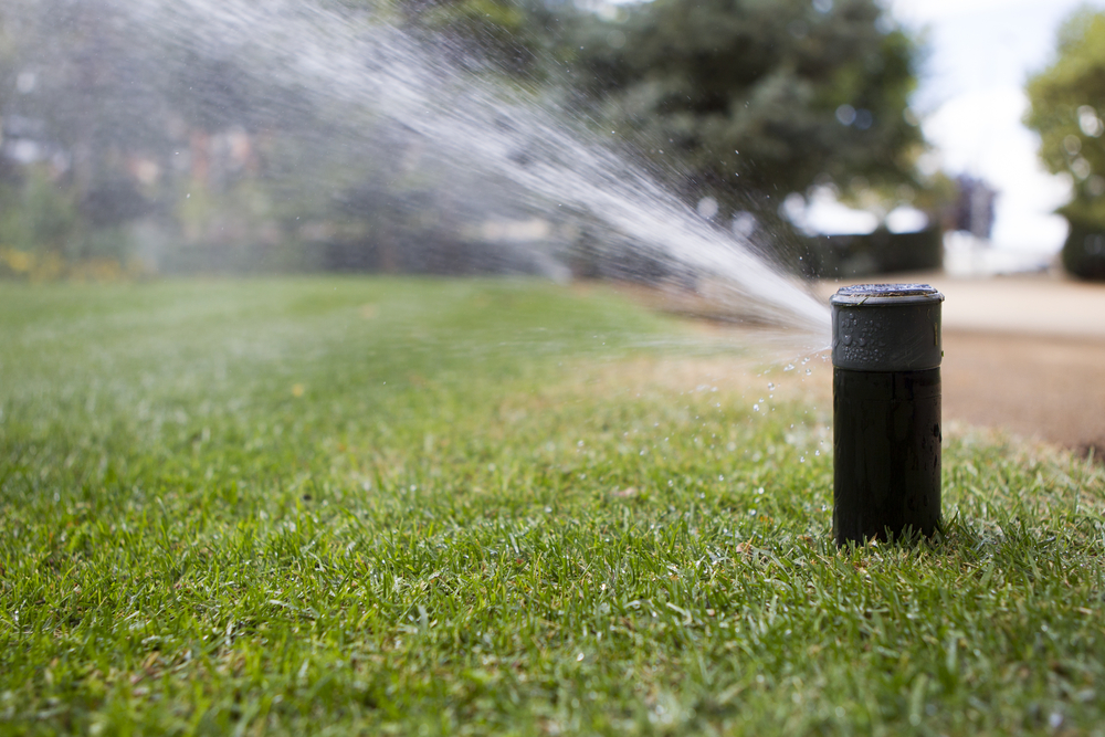 Irrigation and Lighting
