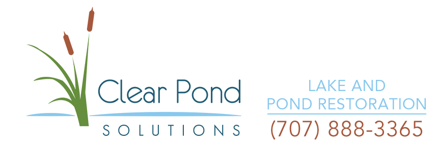 Clear Pond Solutions