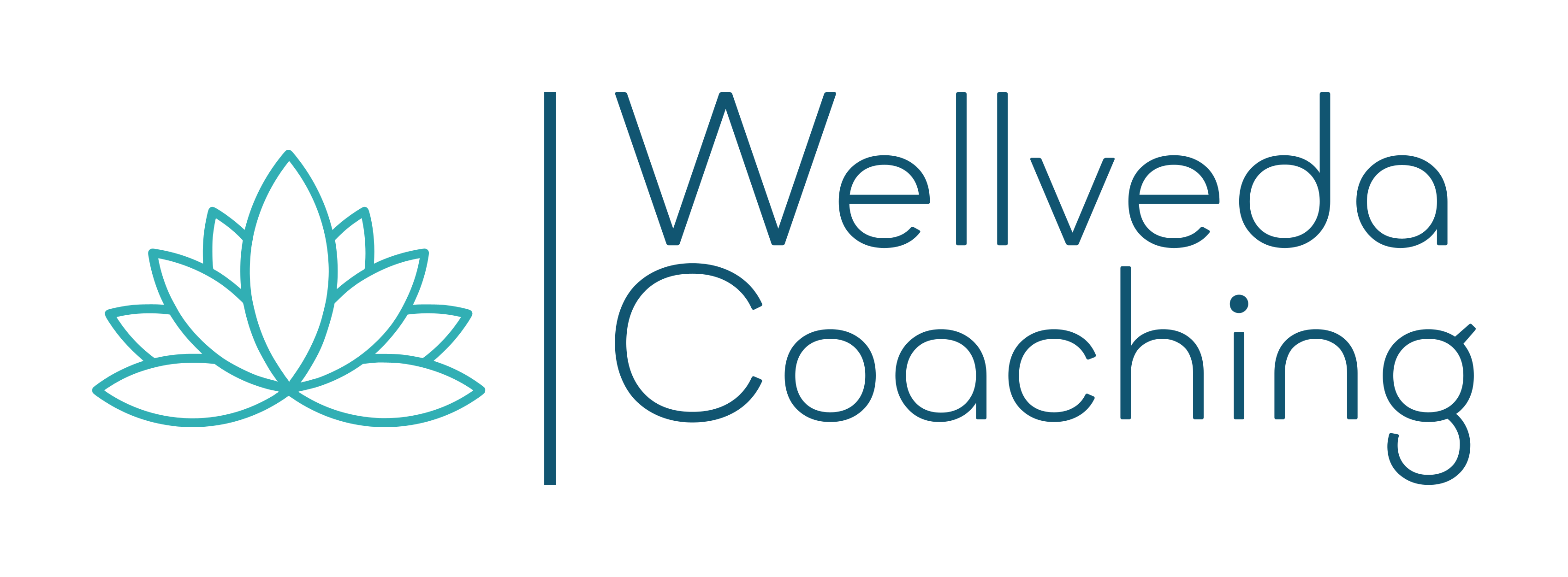   Wellveda Coaching by Kim V