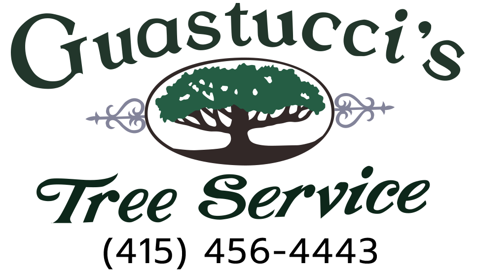 Guastucci's Tree Service