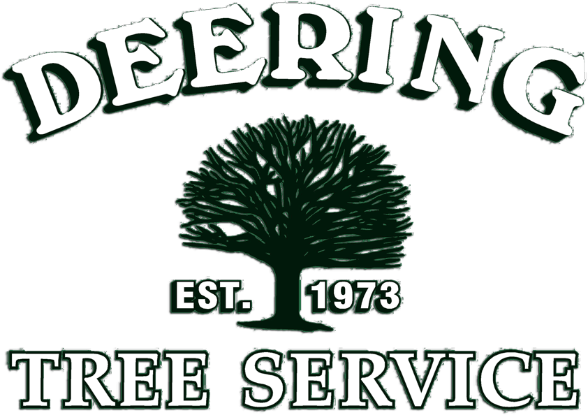Deering Tree Service