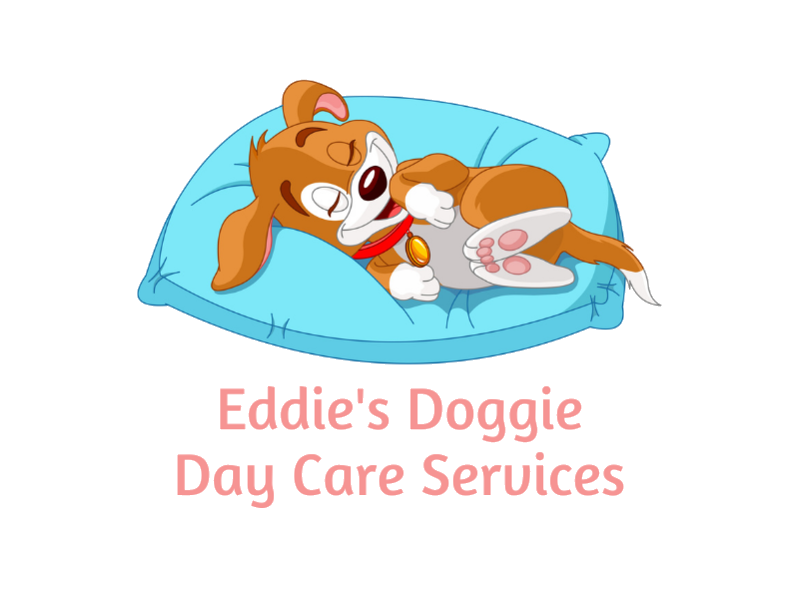 Eddie's Doggie Day Care Services