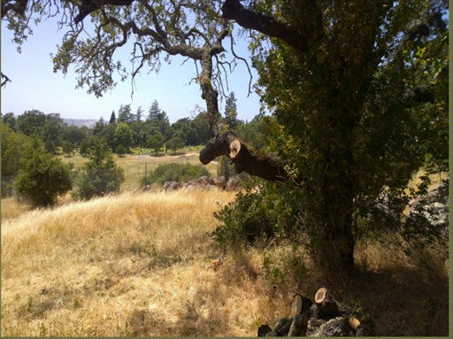 Pascale Place Napa before photo 1