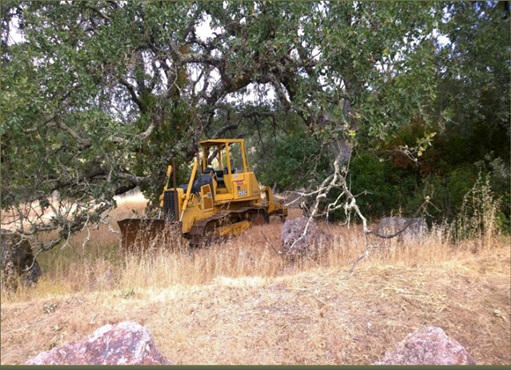 Pascale Place Napa bulldozer clearing oak trees