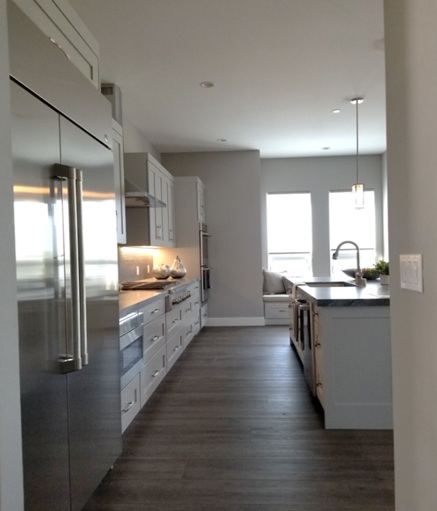 Pascale Place Napa modern kitchen design