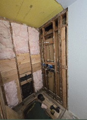 Patricia Dr. demo framing