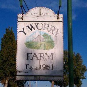 Y Worry Farm