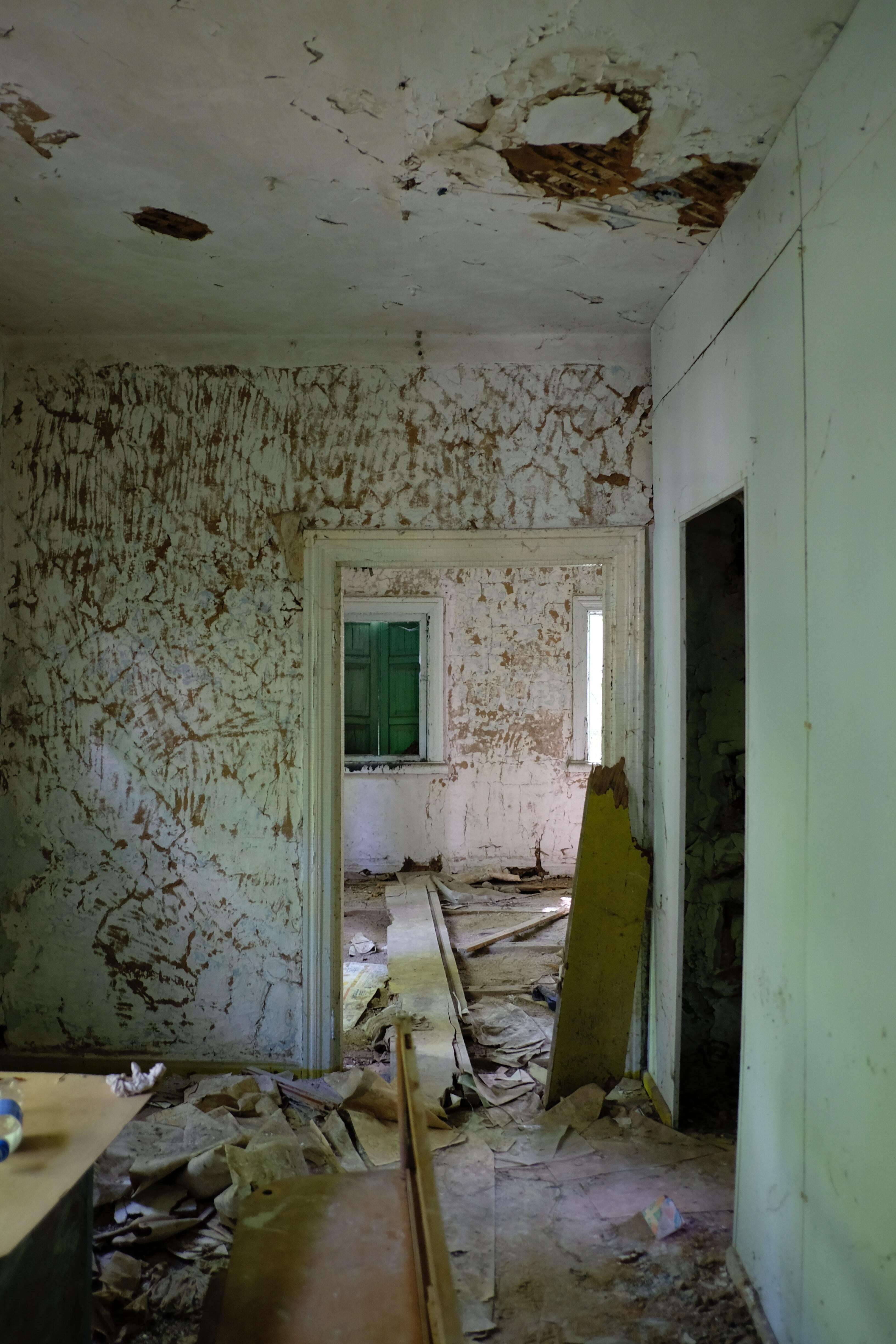 Mold Removal & Restoration