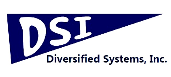 Diversified Systems Inc