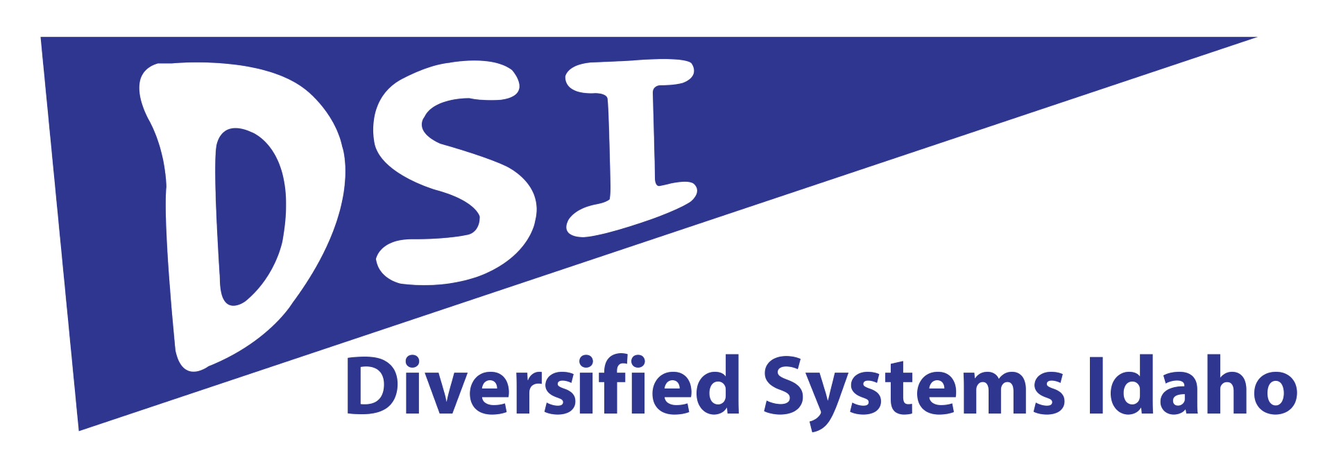 Diversified Systems Idaho